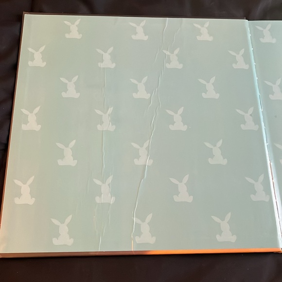 The Velveteen Rabbit - Picture 4 of 4